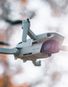 Bonifica Microspie Servizio...